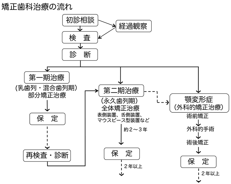 矯正治療の流れ